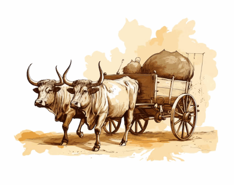 Córrego Fundo promove 10º Encontro de Carros de Boi no dia 28 de junho