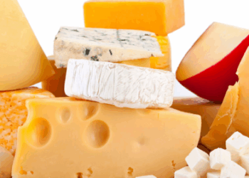 Formiga abre chamamento público para patrocinador exclusivo do Festival do Queijo 2025