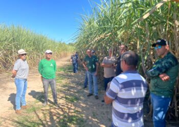 Produtores de cachaça de Córrego Fundo visitam referência em João Pinheiro