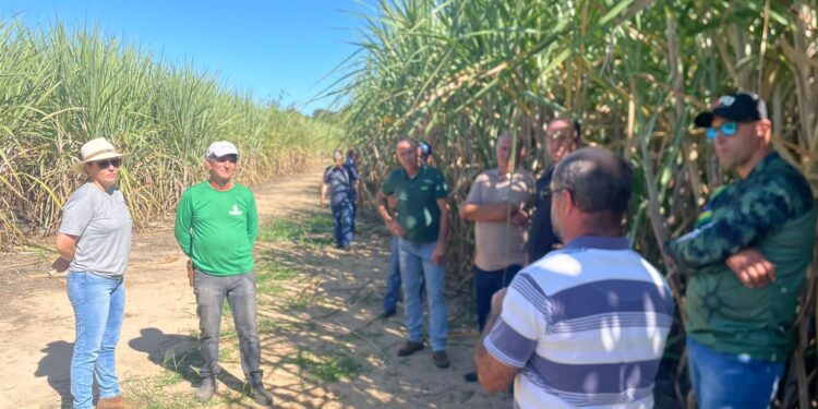 Produtores de cachaça de Córrego Fundo visitam referência em João Pinheiro