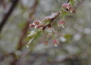 Frio Intenso: Prepare-se para a queda brusca de temperatura em Minas Gerais e no Brasil na próxima semana