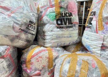 Mais de duas toneladas de drogas são incineradas pela Polícia Civil em MG