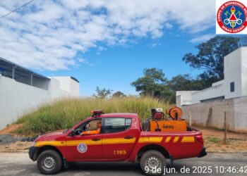 Bombeiros iniciam fase 2 da operação ‘Alerta Verde’ com vistorias em lotes vagos em Formiga