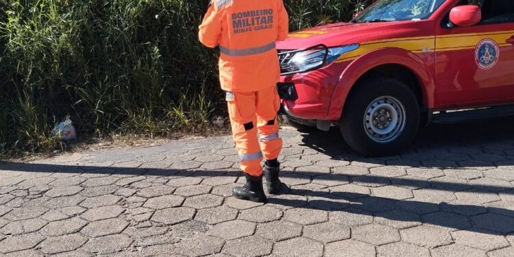 Operação Alerta Verde vistoria terrenos baldios para prevenir incêndios em Oliveira