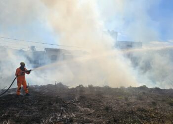 Formiga: incêndio em lote vago é controlado pelo Corpo de Bombeiros no bairro Beira Rio