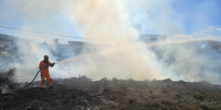 Formiga: incêndio em lote vago é controlado pelo Corpo de Bombeiros no bairro Beira Rio