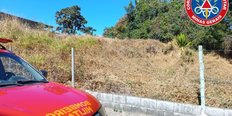 Vistorias em lotes vagos são realizadas nos bairros Ouro Verde e Nossa Senhora de Lourdes