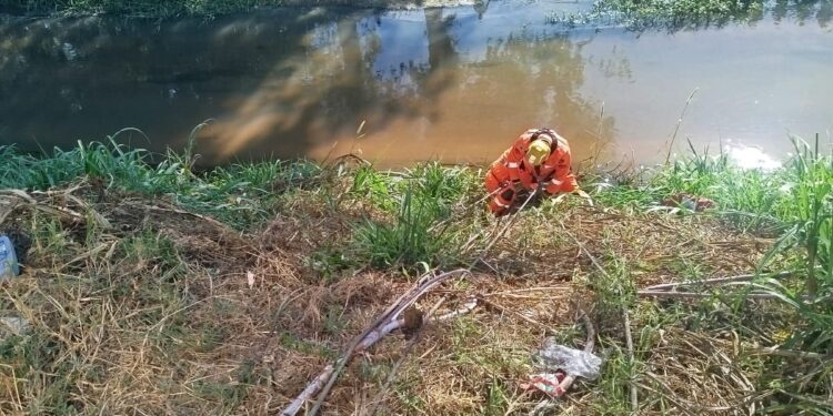 Corpo de Bombeiros divulga informações sobre homem que caiu no Rio Formiga