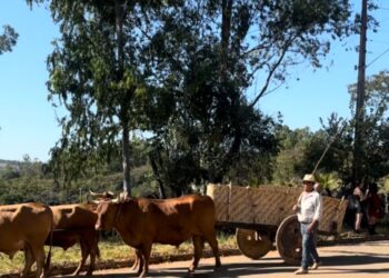 10º Encontro de Carros de Boi revive tradição em Córrego Fundo