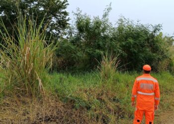 Bombeiros realizam vistorias preventivas em lotes vagos no bairro Vila Bom Pastor