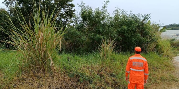 Bombeiros realizam vistorias preventivas em lotes vagos no bairro Vila Bom Pastor