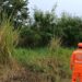 Bombeiros realizam vistorias preventivas em lotes vagos no bairro Vila Bom Pastor