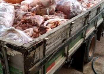 Prefeitura e Ministério Público fiscalizam abatedouro clandestino em Divinópolis