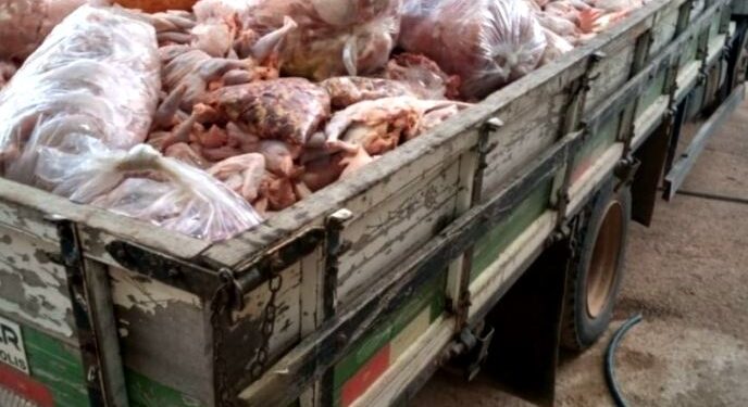 Prefeitura e Ministério Público fiscalizam abatedouro clandestino em Divinópolis