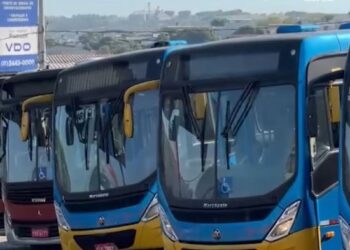 Formiga: uso de cartões de gratuidade no transporte público passa por mudança