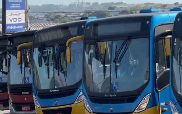 Formiga: uso de cartões de gratuidade no transporte público passa por mudança