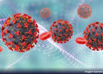 Doença misteriosa em São Francisco: exames detectam quatro tipos de vírus