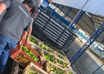 BMA recebe doação de 1 tonelada de bananas de produtores de Delfinópolis