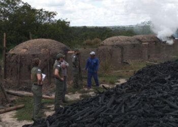 Minas Gerais amplia transparência com novo relatório de fiscalização ambiental moderno e interativo