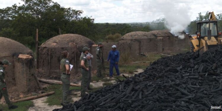 Minas Gerais amplia transparência com novo relatório de fiscalização ambiental moderno e interativo