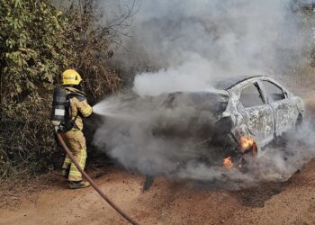 Incêndio em veículo se espalha para vegetação em estrada rural de Formiga