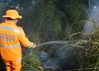 Cresce o número de incêndios em lotes e áreas verdes em Formiga