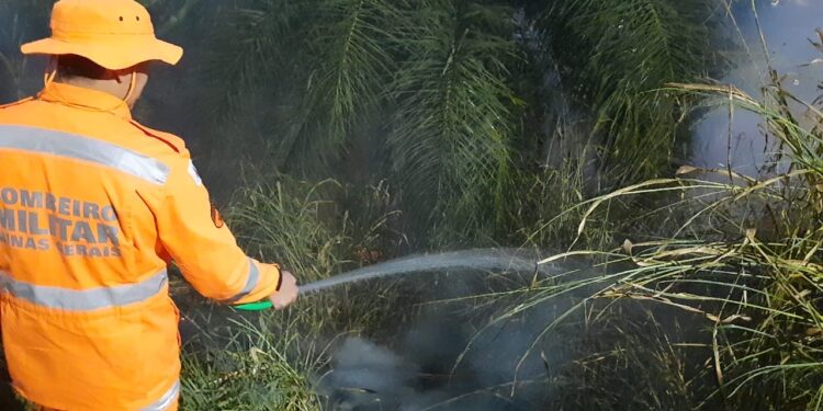 Cresce o número de incêndios em lotes e áreas verdes em Formiga