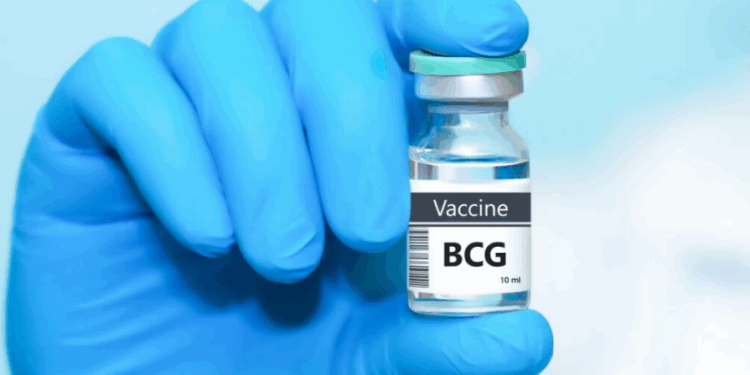 Vacina BCG: especialista esclarece mitos e verdades sobre o imunizante contra a tuberculose