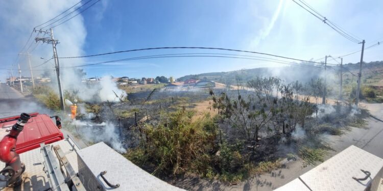 Incêndio em lote vago é contido pelo Corpo de Bombeiros no bairro Sousa e Silva