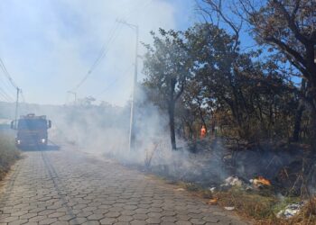 Formiga segue registrando focos de incêndio em terrenos baldios