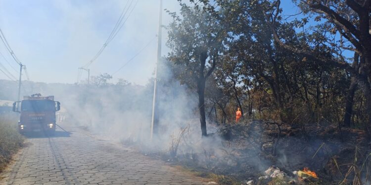 Formiga segue registrando focos de incêndio em terrenos baldios