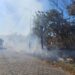 Formiga segue registrando focos de incêndio em terrenos baldios