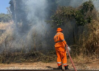Bombeiros combatem incêndio no bairro Santa Tereza em Formiga