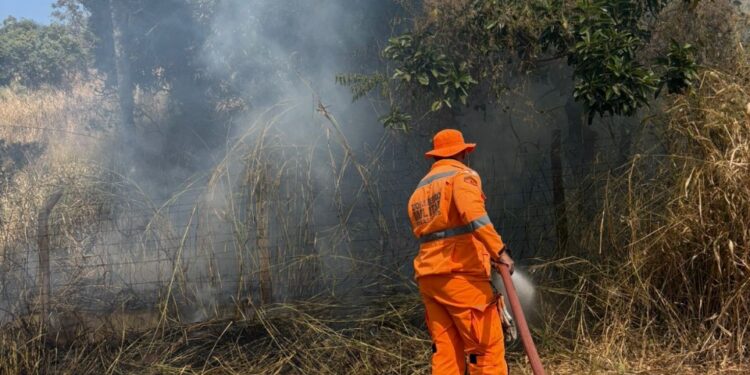 Bombeiros combatem incêndio no bairro Santa Tereza em Formiga