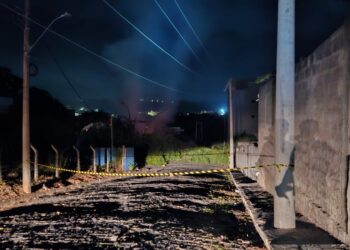 Formiga: queimada em terreno com bambuzal provoca queda de poste e interdição de via