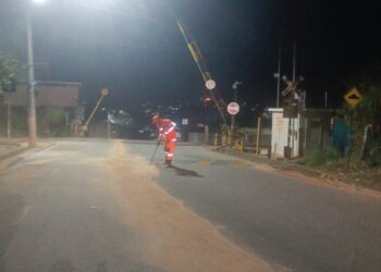 Formiga: bombeiros eliminam risco de derrapagem em via pública