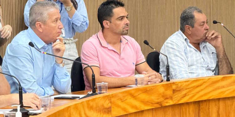 Prefeito e vereadores de Córrego Fundo participam de reunião na AMEG