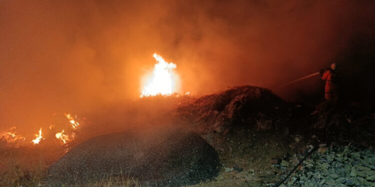 Bombeiros combatem incêndio em lote vago no bairro Ouro Verde durante a madrugada em Formiga