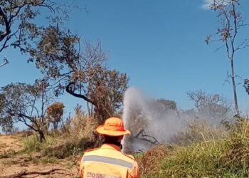 Incêndio florestal às margens da BR-354 mobiliza bombeiros em Arcos