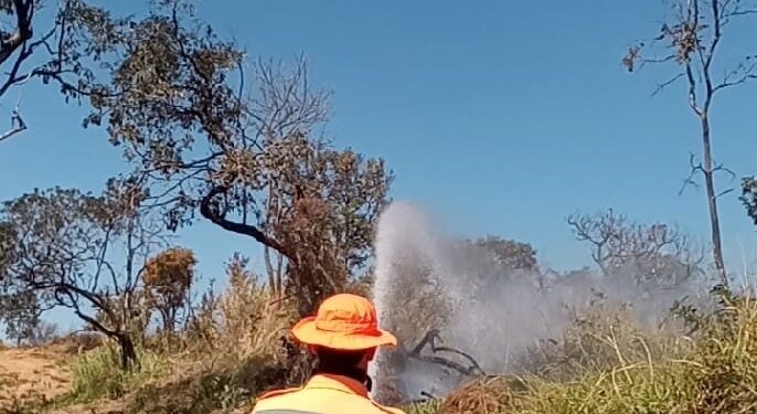 Incêndio florestal às margens da BR-354 mobiliza bombeiros em Arcos