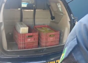 Homem é preso com 60 kg de maconha escondidos em uma caminhonete roubada