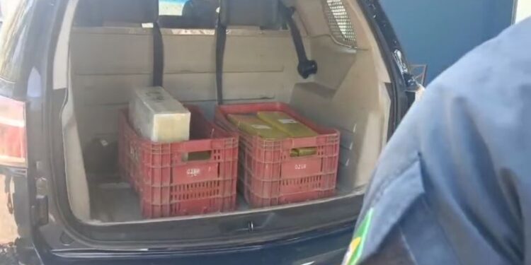 Homem é preso com 60 kg de maconha escondidos em uma caminhonete roubada