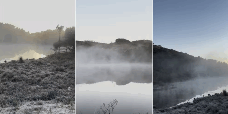 Geada e temperatura negativa criam paisagens de inverno pelo 2º dia seguido no Sul de Minas