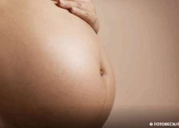 Pesquisa brasileira detecta plástico em placentas e cordões umbilicais