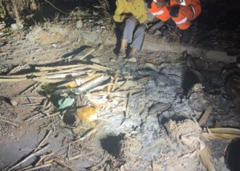 Idosa desaparecida em Formiga é localizada em área de mata pelo Corpo de Bombeiros