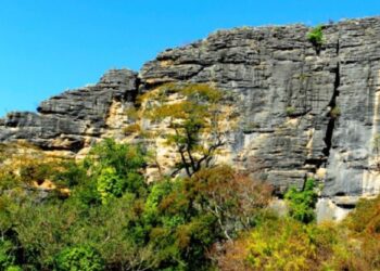 Desmatamento no Cerrado de Minas Gerais cai 34% e estado supera média nacional na redução dos alertas