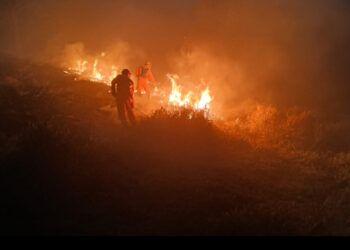 Incêndio de grandes proporções atinge área rural às margens da MG-050 em Formiga