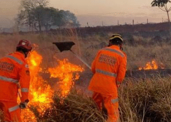 Minas soma 10,8 mil queimadas este ano: média de 46 por dia