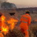 Minas soma 10,8 mil queimadas este ano: média de 46 por dia