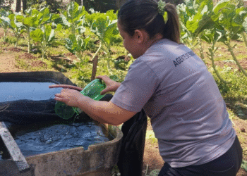 Combate a endemias realiza ações intensivas no bairro Rosário em Córrego Fundo